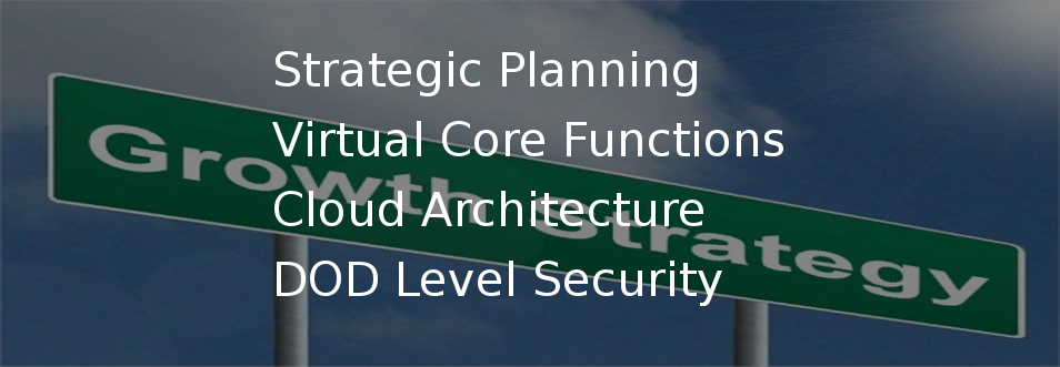 Strategic Planning, Virtual Core Functions, Cloud Architecture, DOD Level Security