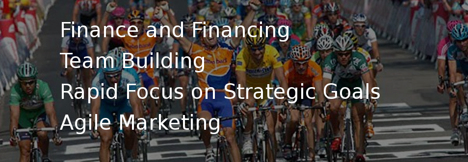Finance and Financing, Team Building, Rapid Focus on Strategic Goals, Agile Marketing